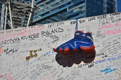 DSC_7118 (Large).JPG